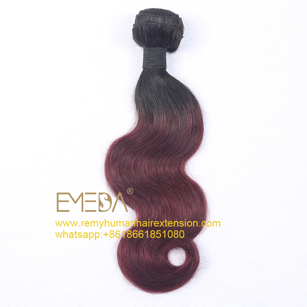 Ombre Color Hair Bundle Various Color Long Length WK020