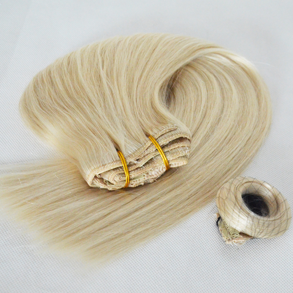 Hair Factory Clip in Hair Extension in China WK001