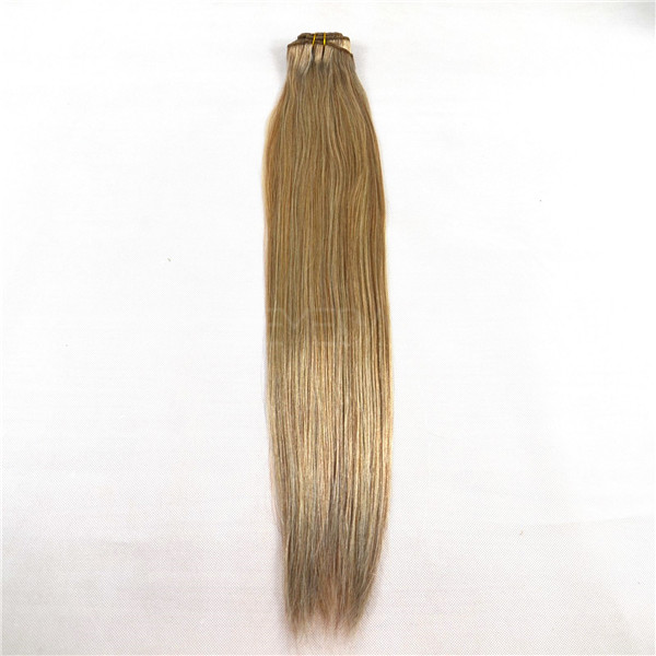 Canada market double drawn clipin hair extensions YJ73