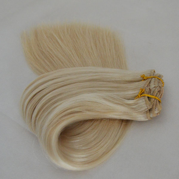 24INCH Best hair clip in extensionsWJ056