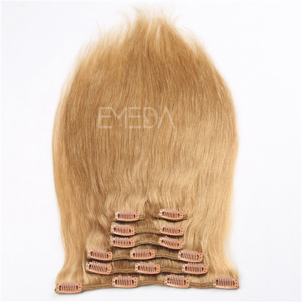 22INCH Human hair clip in extensions WJ051