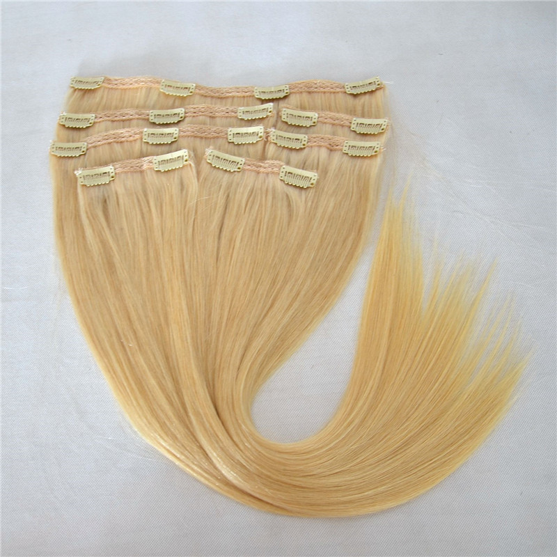 Clip In Human Hair Extensions Good Value Brazilian Hair Extensions WK099