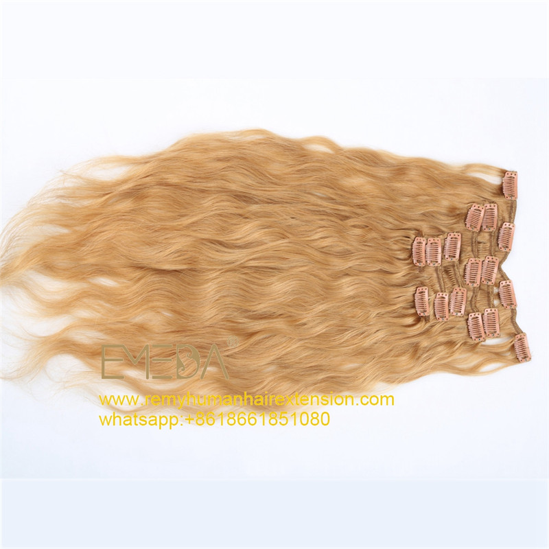 Clip in Hair Extensions Virgin Human Brazilian Original Hair Extensions WK091