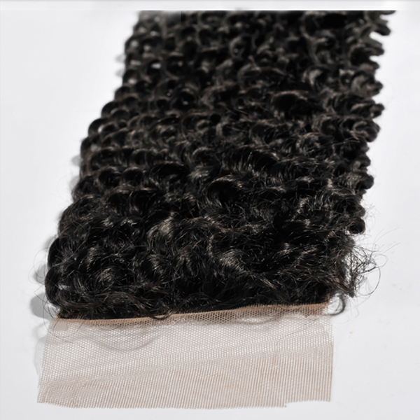 brazilian human hair lace closure WJ6